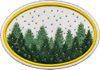 Winter patch