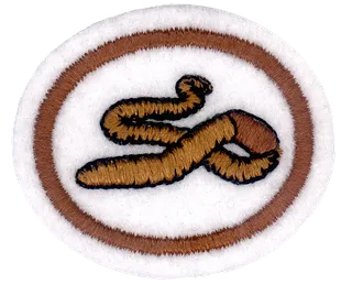 Worms patch
